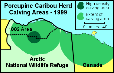 Porcupine Caribou herd calving locations, 1999