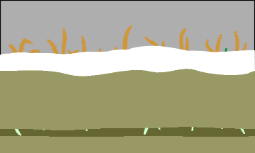 active layer freezing