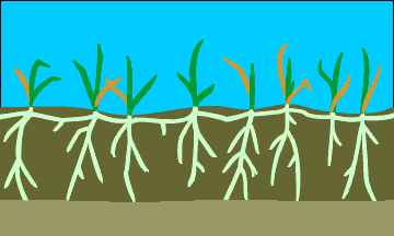 active layer thawing