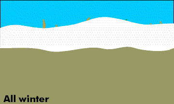 animated cylce of active layer