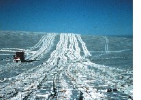 vehicle trails in snow