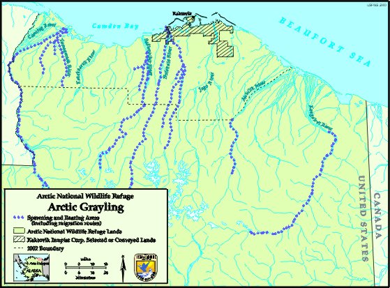 map of grayling locations
