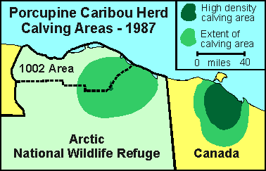 Porcupine Caribou herd calving locations, 1987
