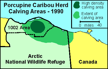 Porcupine Caribou herd calving locations, 1990