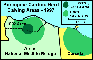 Porcupine Caribou herd calving locations, 1997