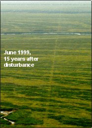 seismic trail in June 1999