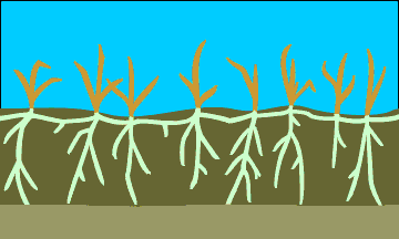 active layer thawing