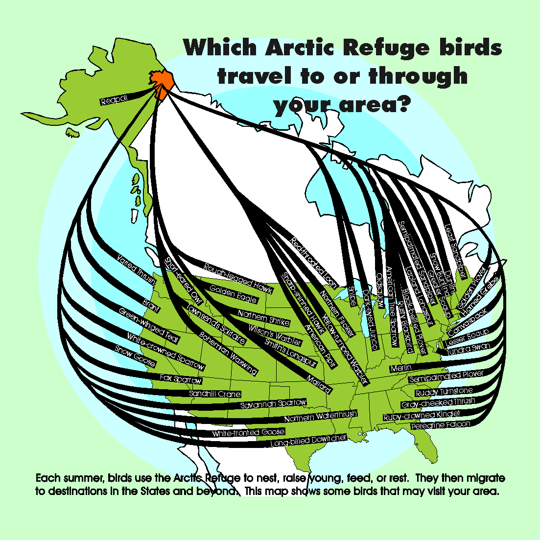 poster of birds from Refuge to each State