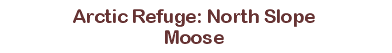 Title: Arctic Refuge: North Slope Moose