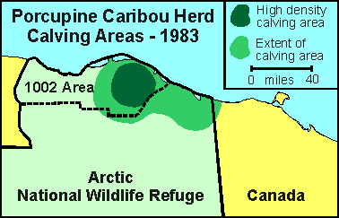 Porcupine Caribou herd calving locations, 1983