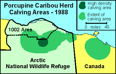 Porcupine Caribou herd calving locations, 1988