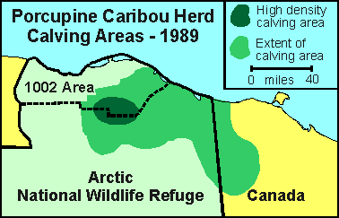 Porcupine Caribou herd calving locations, 1989