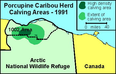 Porcupine Caribou herd calving locations, 1991