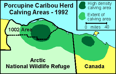 Porcupine Caribou herd calving locations, 1992