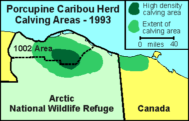 Porcupine Caribou herd calving locations, 1993
