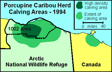 Porcupine Caribou herd calving locations, 1994