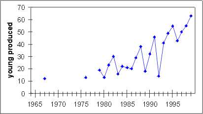 graph of young produced
