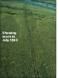 seismic trail in July 1984