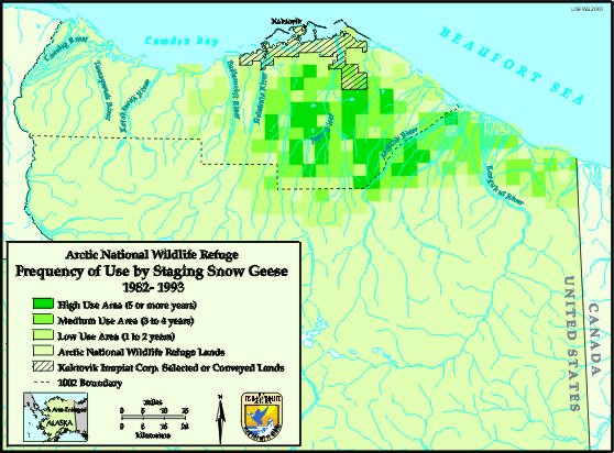 map showing snow goose use across Refuge  
coastal plain