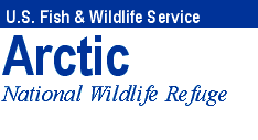 [Arctic National Wildlife Refuge]
