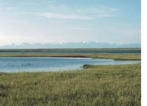 Arctic Refuge coastal plain 
looking south toward the mountains