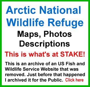 ANWR Arctic National Wildlife Refuge; What is at stake; removed USFWS website; photos, maps, descriptions
