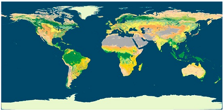 Land Cover Dynamics