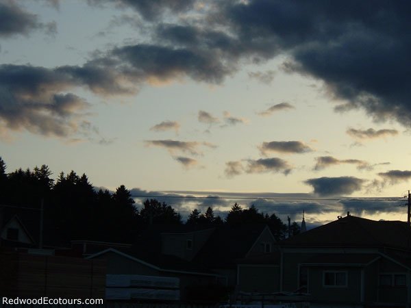 Ferndale-sunset1