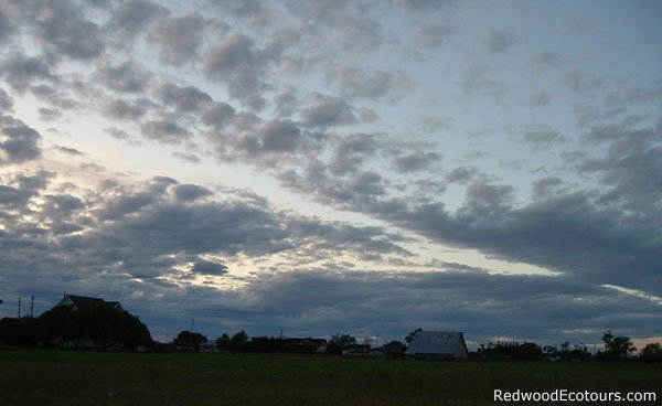 Ferndale-sunset3