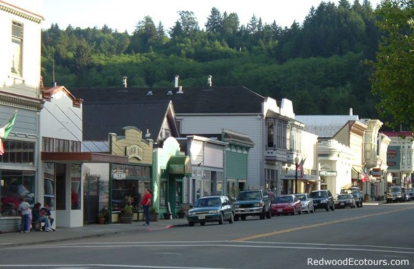 Ferndale1
